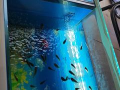 -郑州方特水上乐园