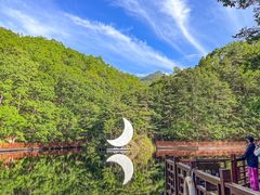 -洛阳白云山景区