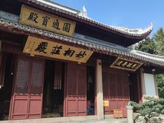 -上海东林寺(金山区)