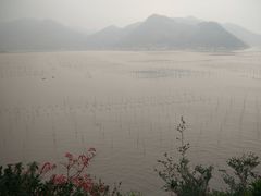 -北岐滩涂