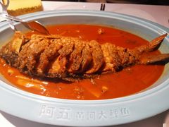 -阿五黄河大鲤鱼(英协路店)