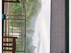-天强农家菜馆