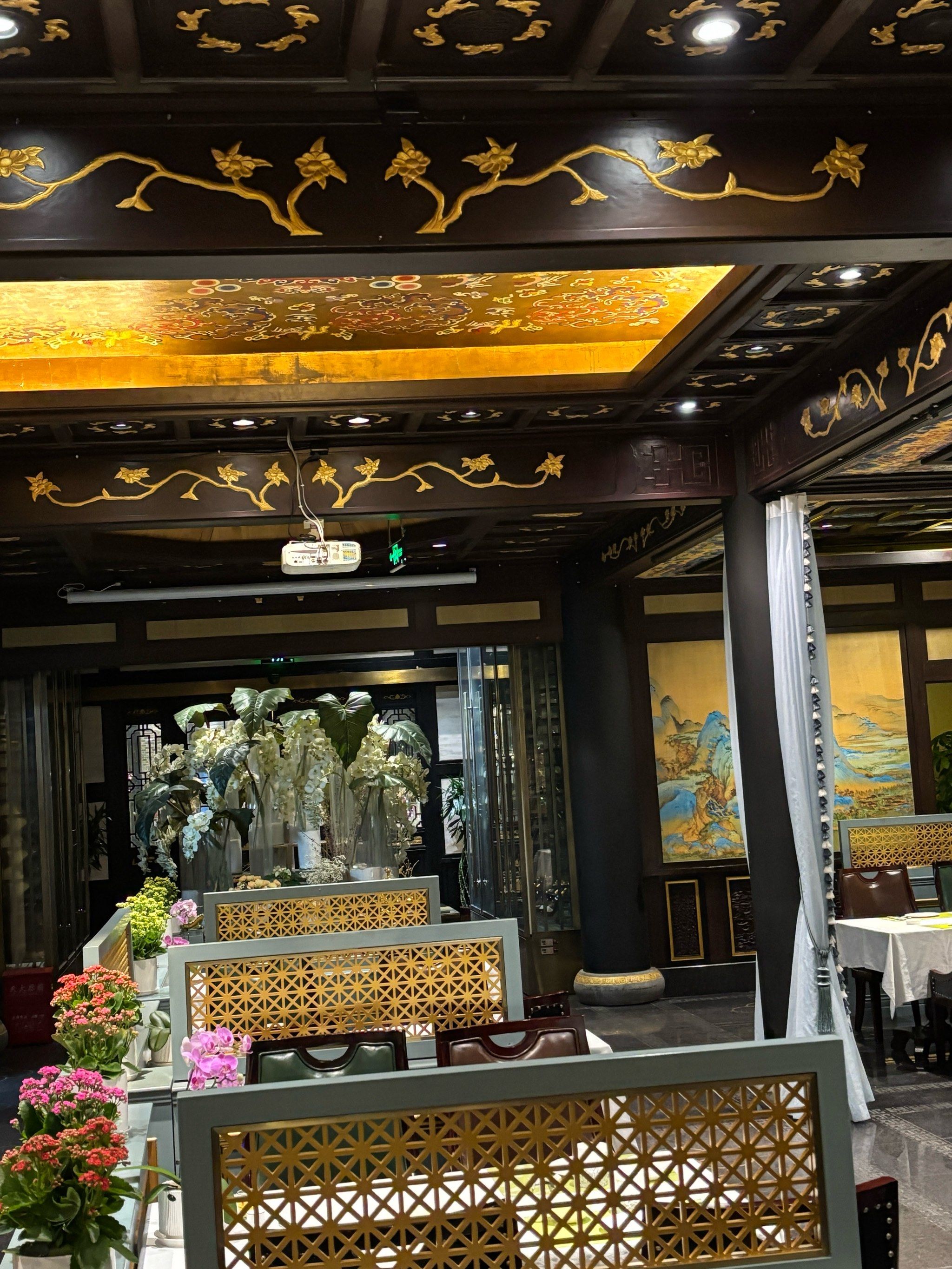 只看风景,不问脚下