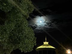 -迪士尼小镇