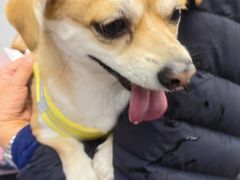 -联合动物医院(光谷诊疗中心)