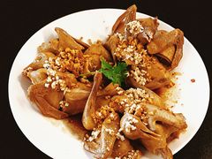 -百利鸽王(紫薇路店)