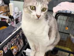 -谜盒子奇幻密室(南屏店)