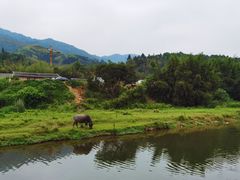 -福建土楼(南靖)景区
