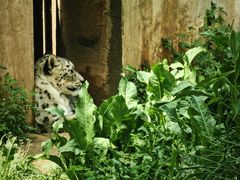 -青藏高原野生动物园