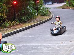 -圣淘沙天际线斜坡滑车