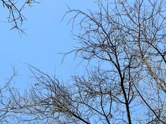 -西安创业咖啡街区