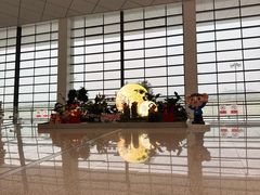 -郑州新郑国际机场-T2航站楼