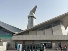 -盐城丹顶鹤湿地生态旅游区