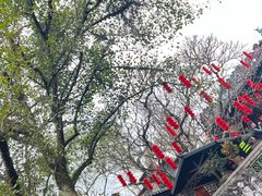 -国恩寺