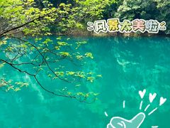 -鼎香皇高佬苏裹蒸粽