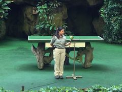 -新加坡飞禽公园
