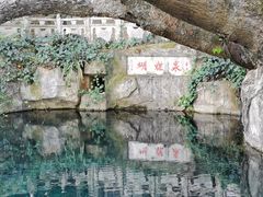 -蝴蝶泉公园