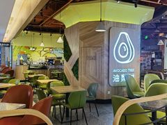 -油梨树AVOCADO TREE(嘉里中心店)