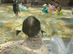 -杭州开元森泊度假乐园