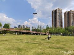 -府河摄影公园