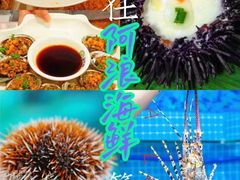 -三亚蜈支洲岛旅游区