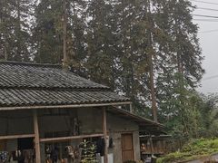 -龙苍沟森林公园