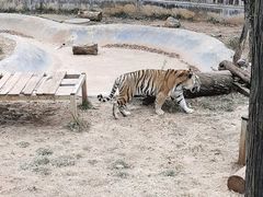 -昆明动物园