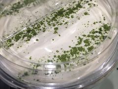 -お茶本部。珍珠奶茶专卖店