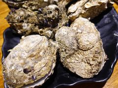 海味原只生蚝-烧蠔帮·生蚝海鲜牌档(观海店)