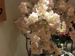 -善水温泉·汗蒸·SPA·生活会馆(桑田路店)