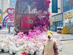 -华熙LIVE·528