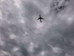 -空港花田景区