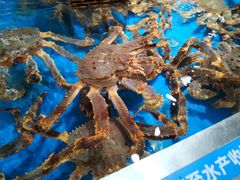 -盒马鲜生(悦峰店)