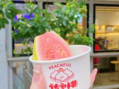 -伏小桃(明瓦廊店)