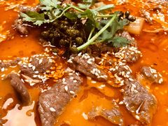 -付掌柜在成都·热炒砂锅集(金禾店)