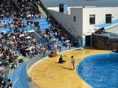 -海合安青岛极地海洋公园
