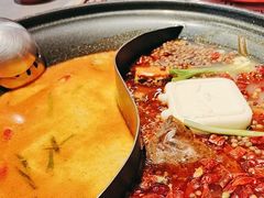 -生活如沸·顺德水牛奶火锅(大学路店)