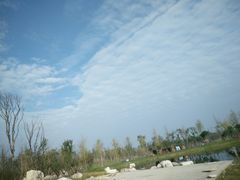 -白鹭湾湿地公园