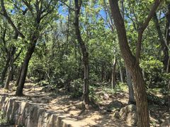 -虞山风景区