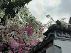 -深圳国际园林花卉博览园