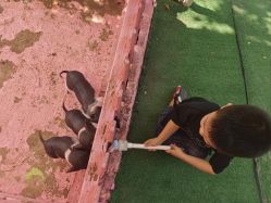 -萌宠亲子动物乐园(槐房万达店)