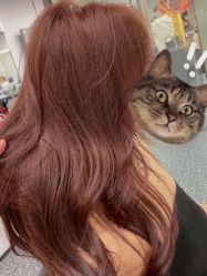 -潘多拉Hairsalon