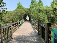 -吴淞炮台湾湿地森林公园烧烤区