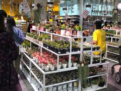 -KKV(深圳宏发大仟里店)