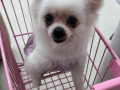 -怪兽屋·羊驼·猫咖·狗咖(俊华广场店)