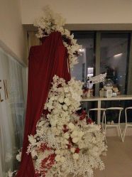 -ST时柒·问题肌抗衰美颜所