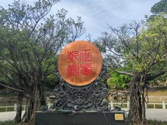 -榴花公园