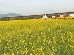 -光明小镇欢乐田园