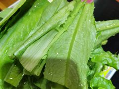 油麦菜-芦月轩羊蝎子(劲松店)