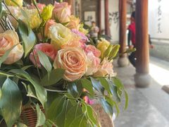 -寂照庵